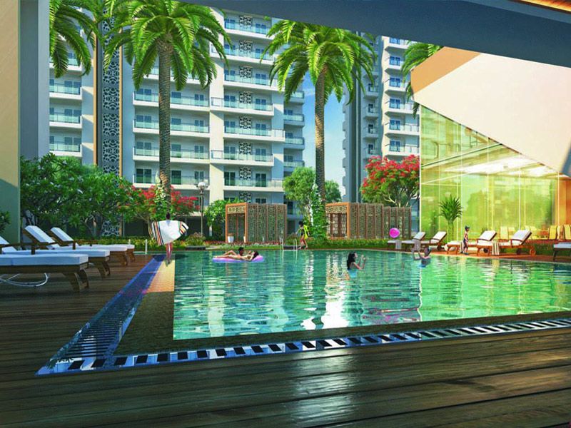 Swimming pool at Elite Golf Greens, Noida