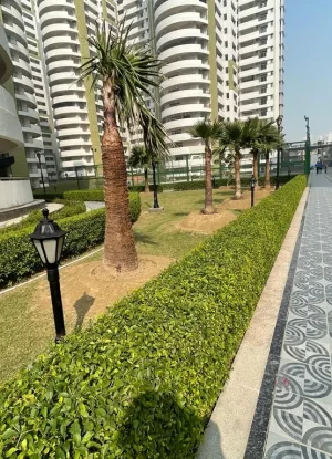 Parx Laureate Aminities