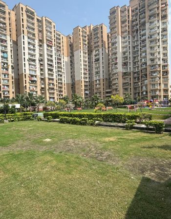 Best Property in Noida Extension