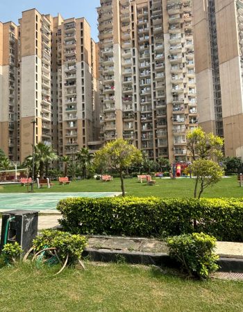 Best Property in Noida Extension