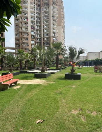 Best Property in Noida Extension