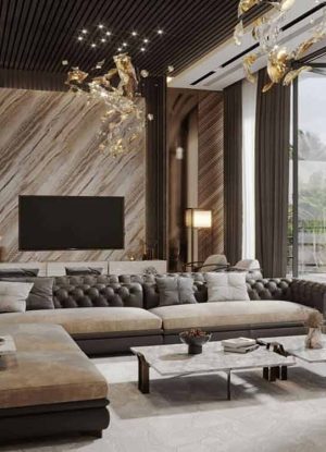 Luxury Flats In Noida Extension with luxury living Area